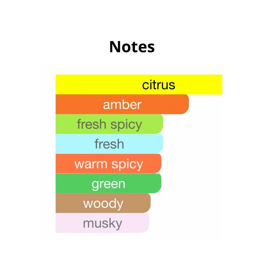  best perfume online UAE